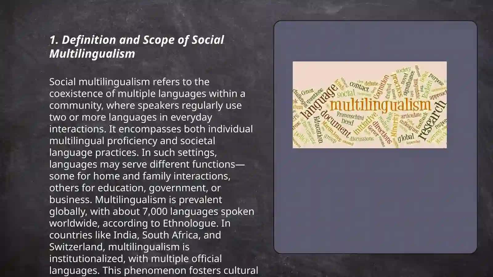 Social Multilingualism 3