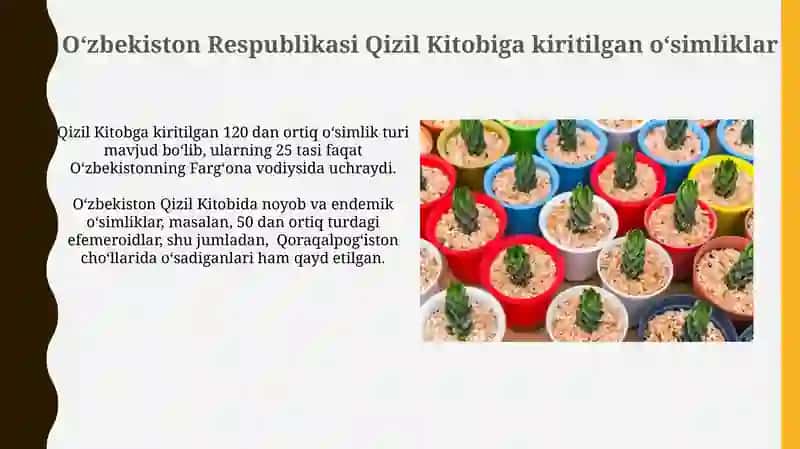 Oʻzbekiston Respublikasi Qizil Kitobiga kiritilgan o`simliklar 3