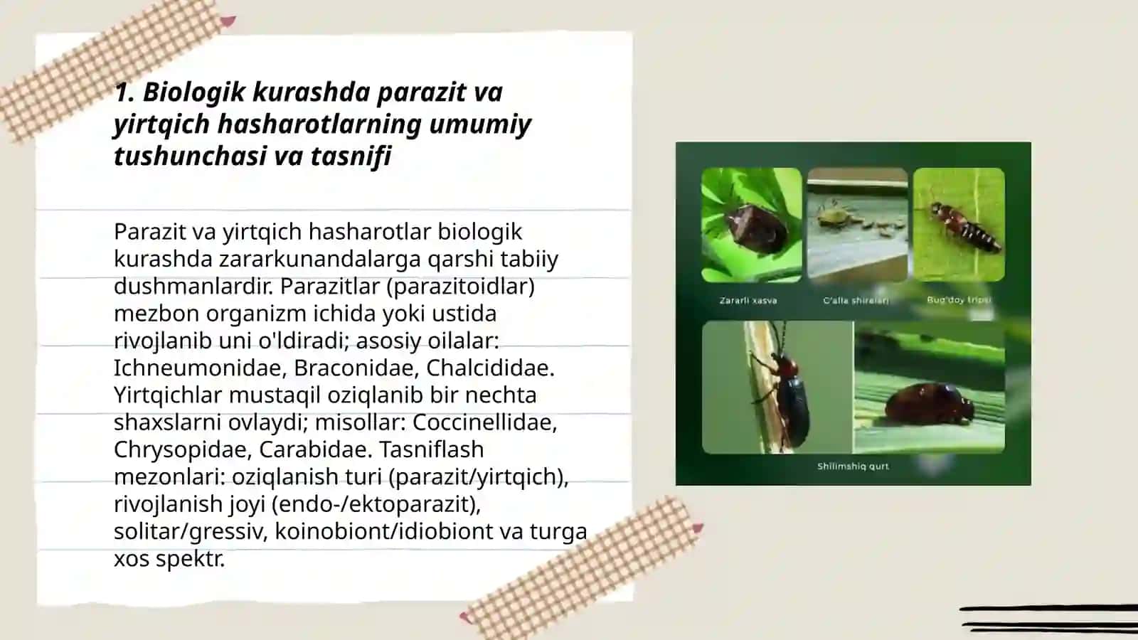 Biologik kurashda parazit va yirtqich hasharotlarning umumiy tushunchasi va tasnifi 3