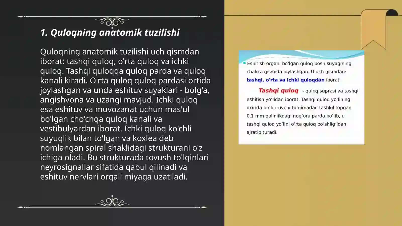 Eshitish aʼzosining tuzulishi fiziologiyasi va boshqarish markazlari 3