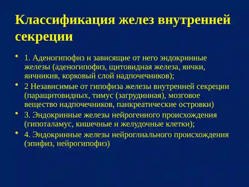 ФИЗИОЛОГИЯ ЭНДОКРИННОЙ СИСТЕМЫ 3