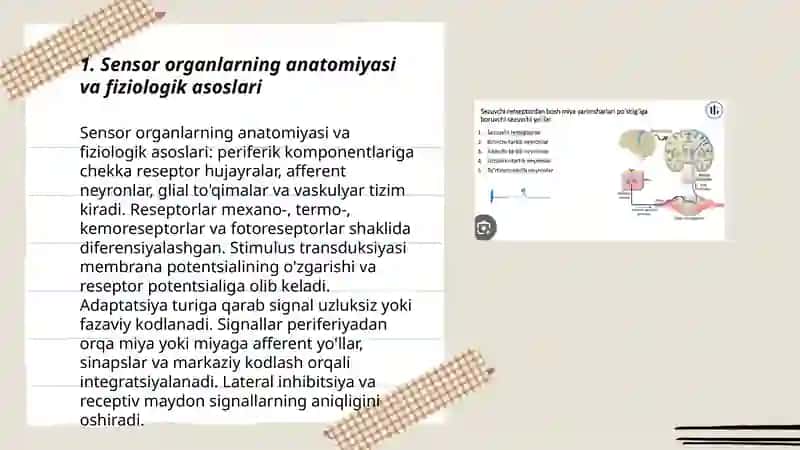 Sensor tizimlar fiziologiyasi 3