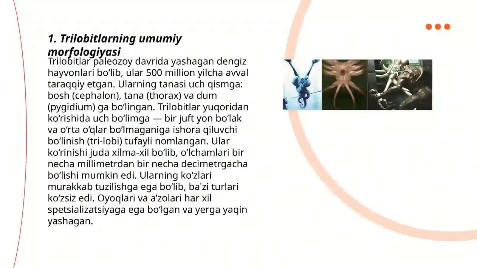 Trilobitsimonlar kenja tipining umumiy tavsifi 3