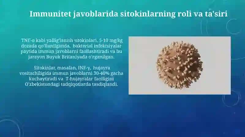 Immun-himoya reaksiyalarining morfologik asoslari 3