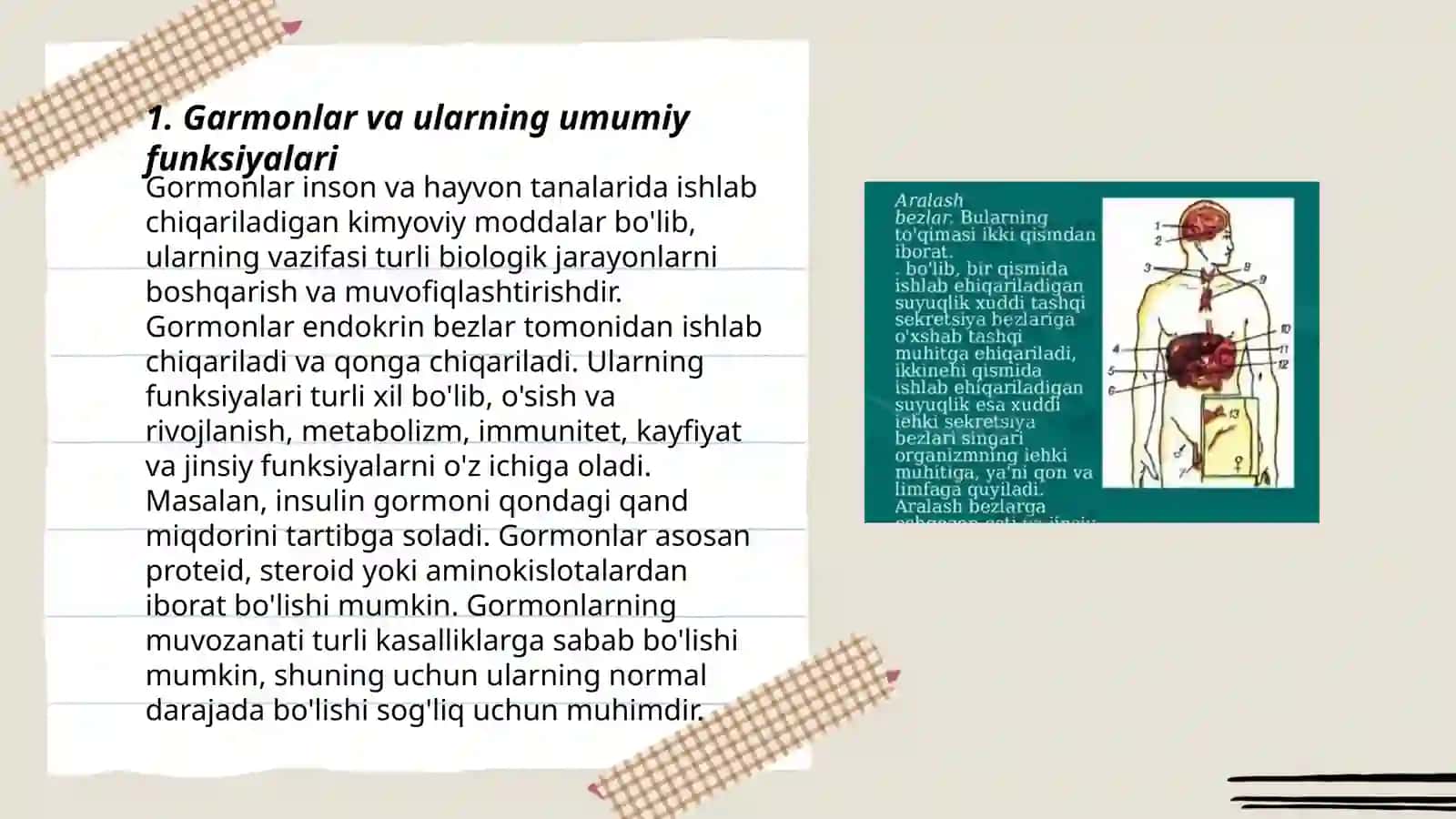 Garmonlar. Garmonlar funksiyasini yoshga oid xususiyatlari 3