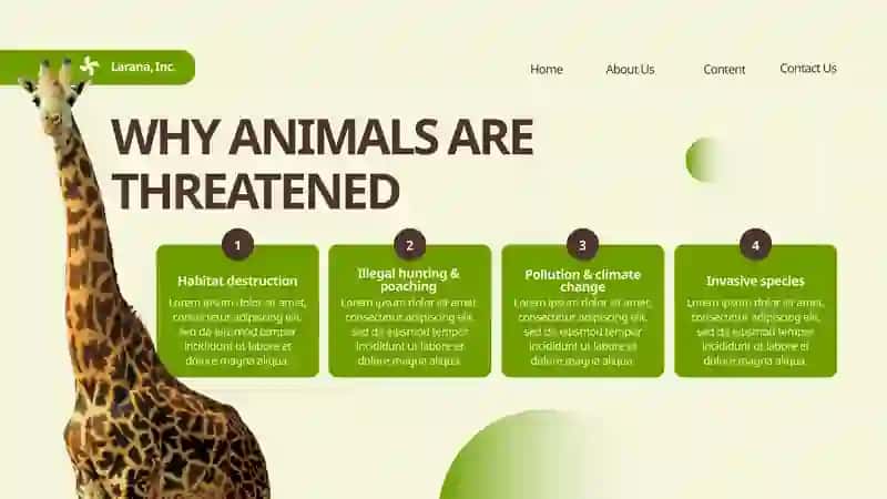 ANIMAL CONSERVATION 3
