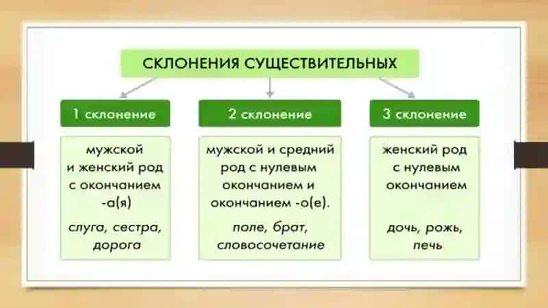 Склонение имён существительных-Склонение имён существительных. Категория падежа имени существительного (повторение) 3
