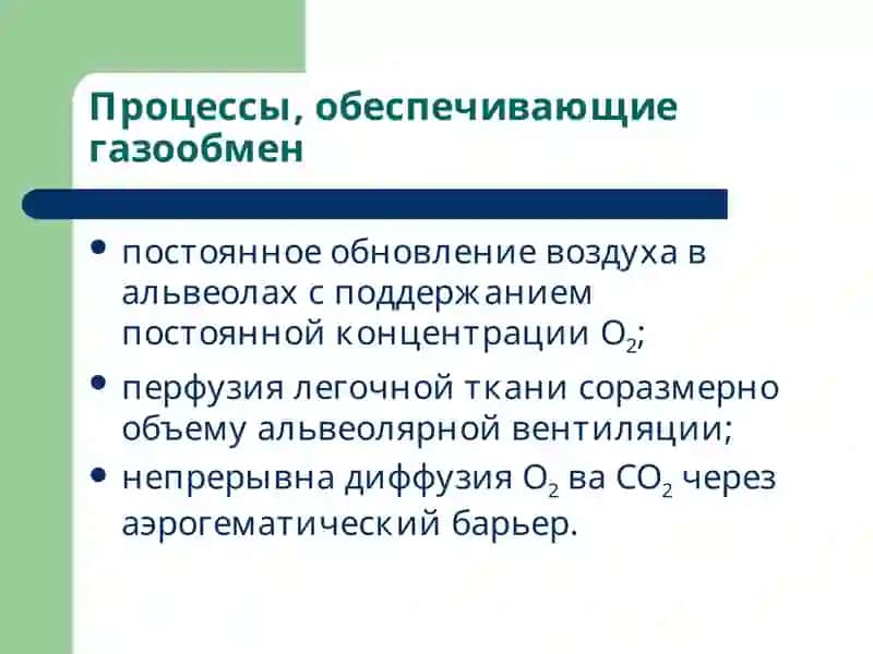 Лекция 16 Патофизиология системы внешнего дыхания. Гипоксии 3
