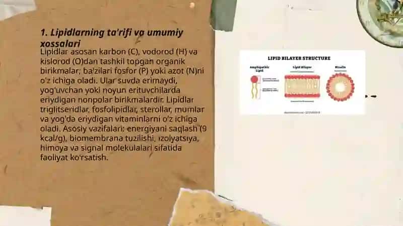 Lipidlar 3