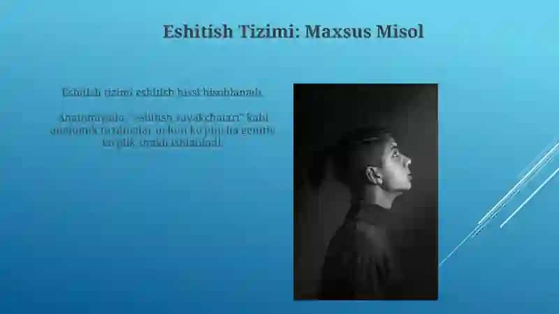Qaratqich kelishik koʻplik formasi 3