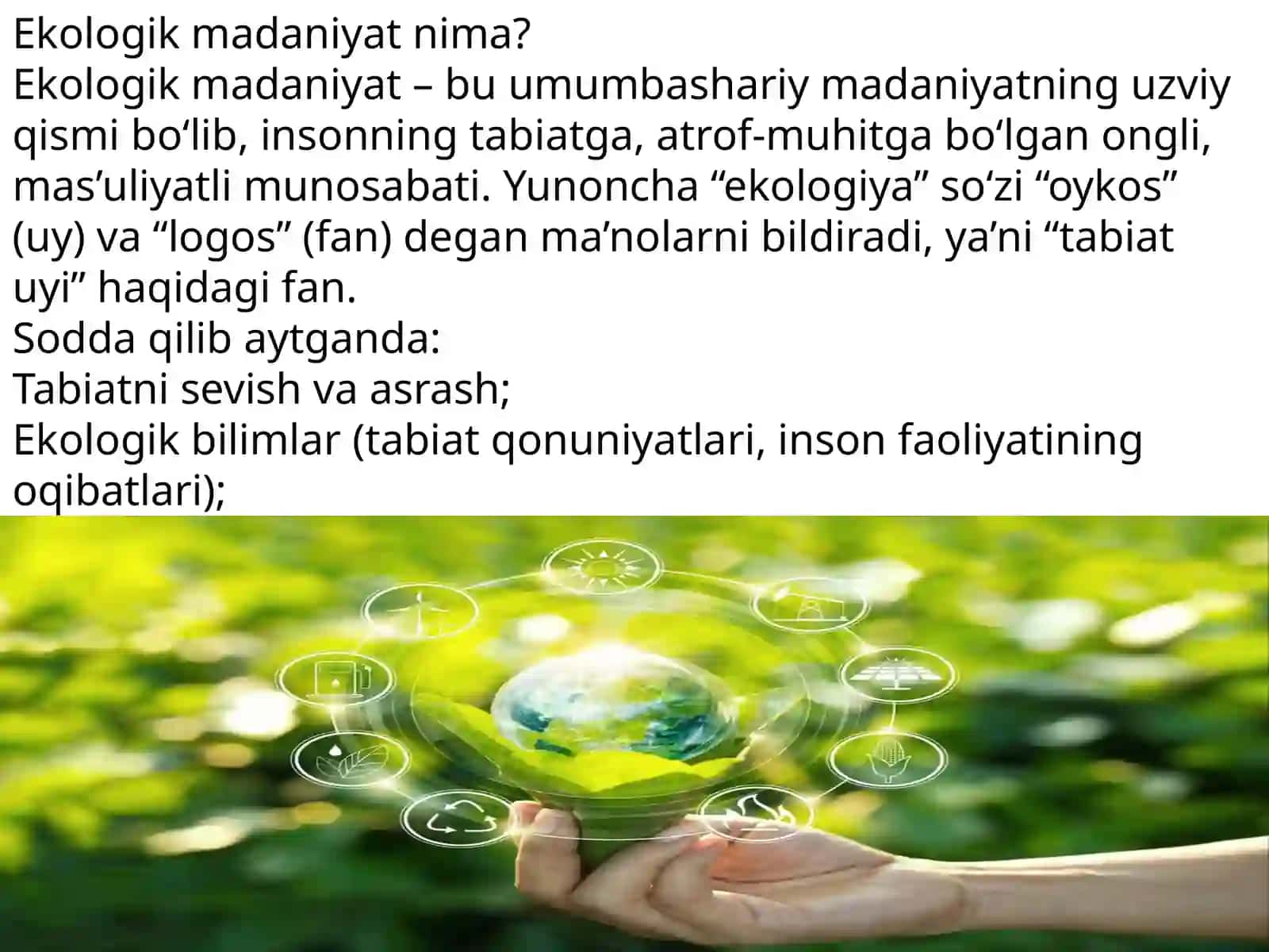 Ekologiya fanidantaqdimot loyihasi 3