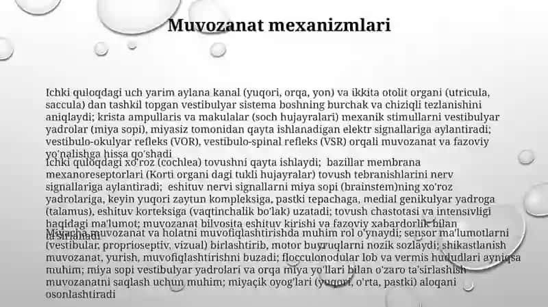 Eshituv va muvozanat a'zolari 3