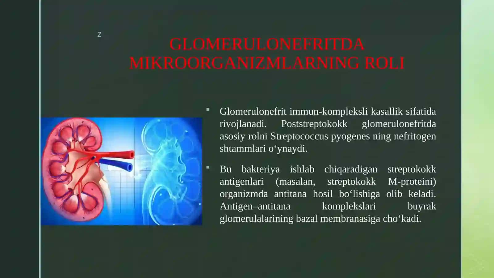 Glomerulonferit, endokardit, yarali kolit va boshqa kasalliklar kelib chiqishida mikrorganizmlarni ahamiyati. 3