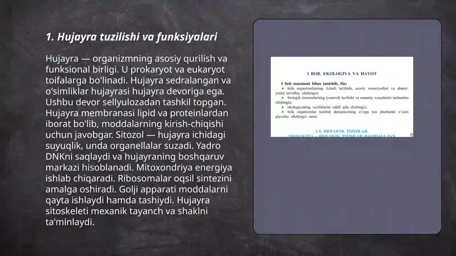 Biologiya - hayot haqidagi fan 3