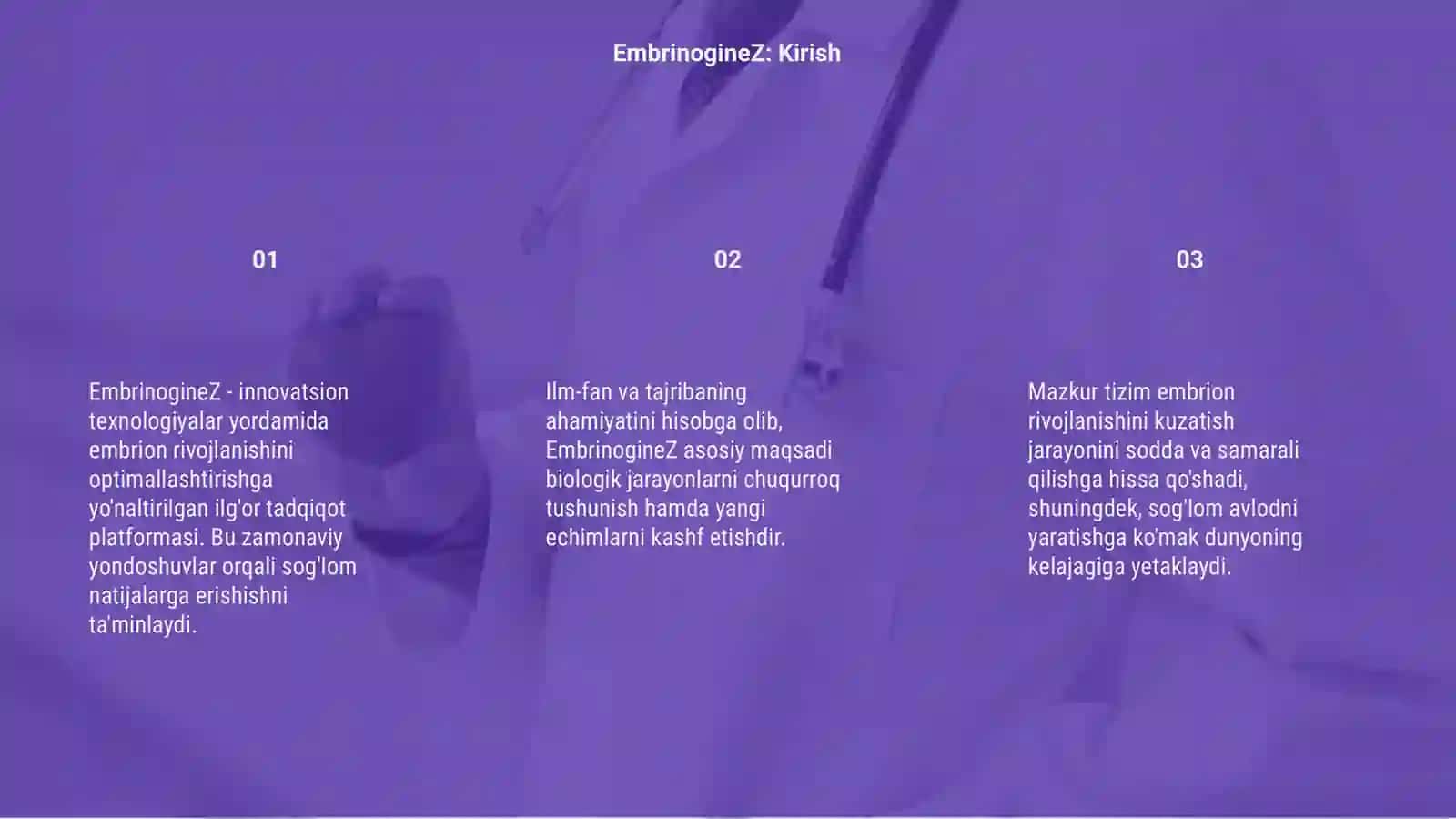 EmbrinogineZ 3
