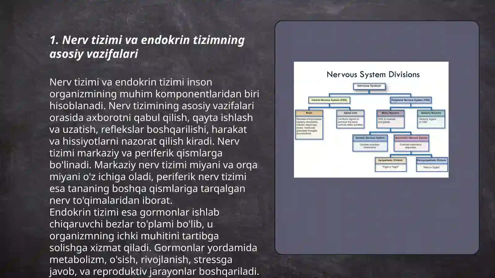 Nerv va endokrin tizimining inson organizmi va xulq atvordagi ahamyati 3