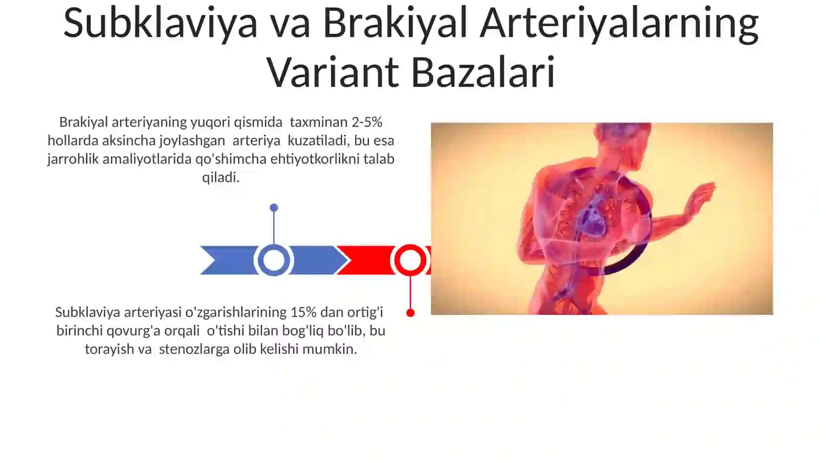 O'mrov osti va yelka arteriyalarining variant asoslari 3