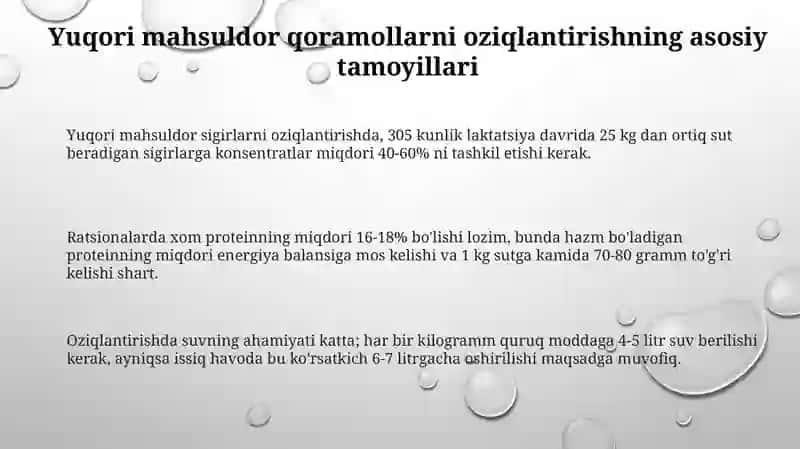 Go'shtbob zotli sigirlarga ozuqa miqdori belgilash va ratsion tuzish 3
