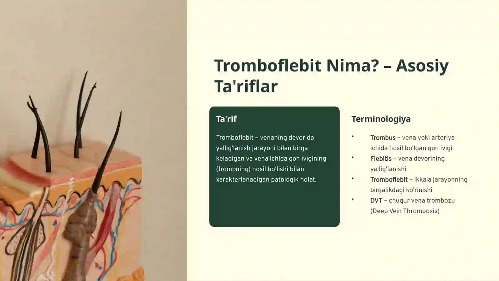 Tromboflebit – Tibbiy Asoslari va Tahlillari 3