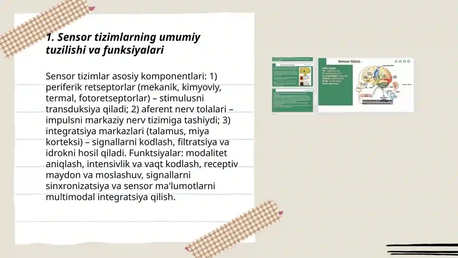 Sensor tizimlar fiziologiyasi. Oliy nerv faoliyati 3