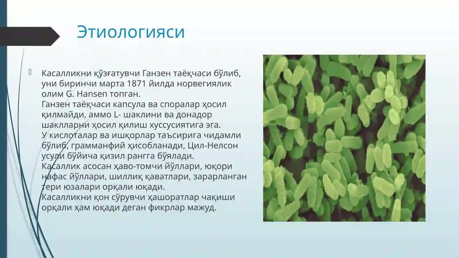 Мохов терининг паразитар касалликлари 3