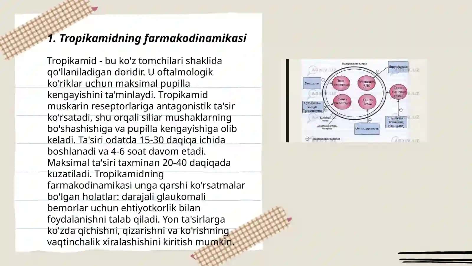 Tropikamid dori vositalarining farmakologiyasi 3