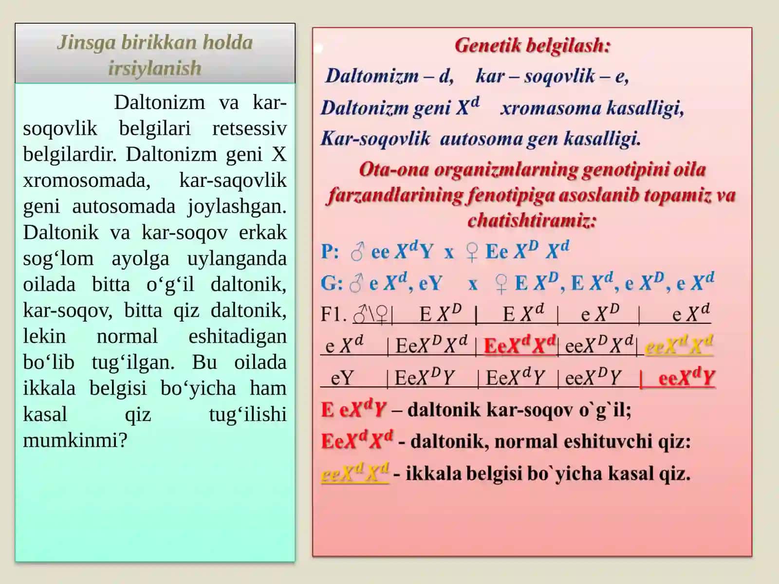 Jinsga birikkan holda irsiylanish 3
