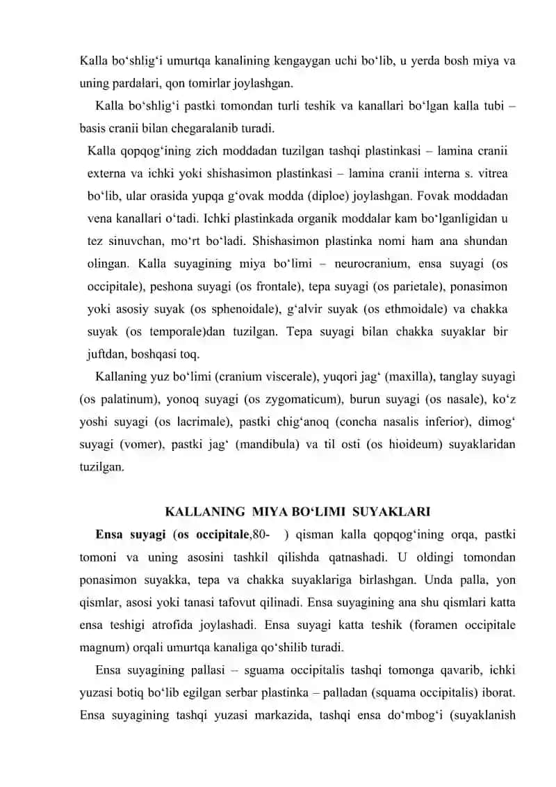 Bosh skeleti 3