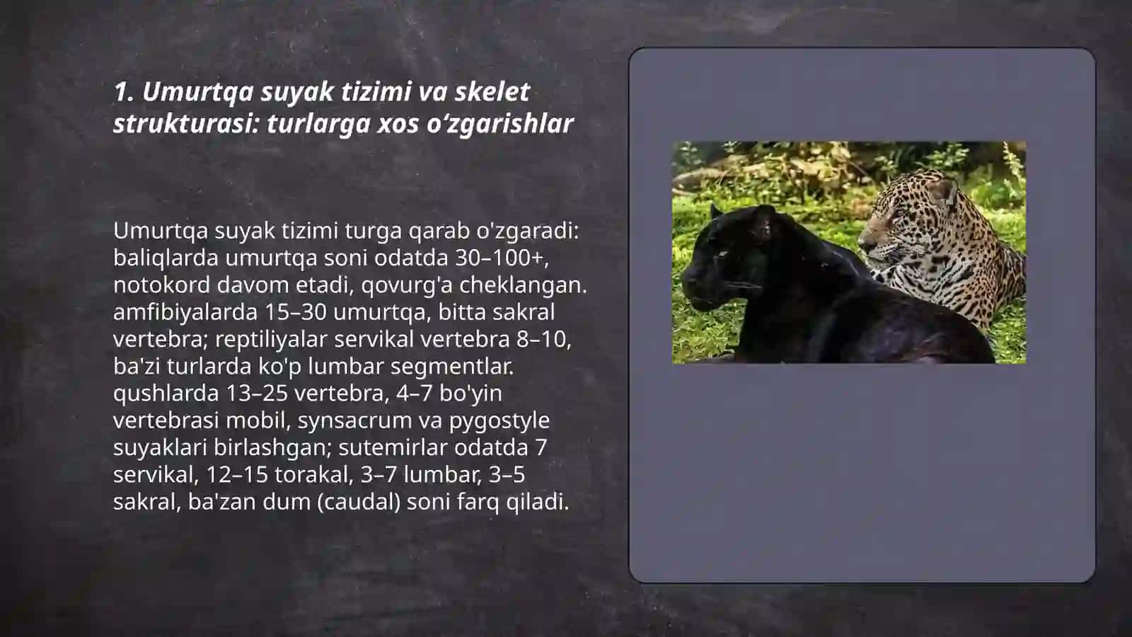 Umurtqali hayvonlarning anatomiyasi, fiziologiyasi, sistematikasi va tabiatda tutgan oʻrni 3
