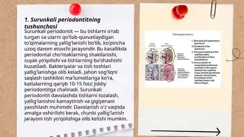 Surunkali periodontitning patologik anatomiyasi 3