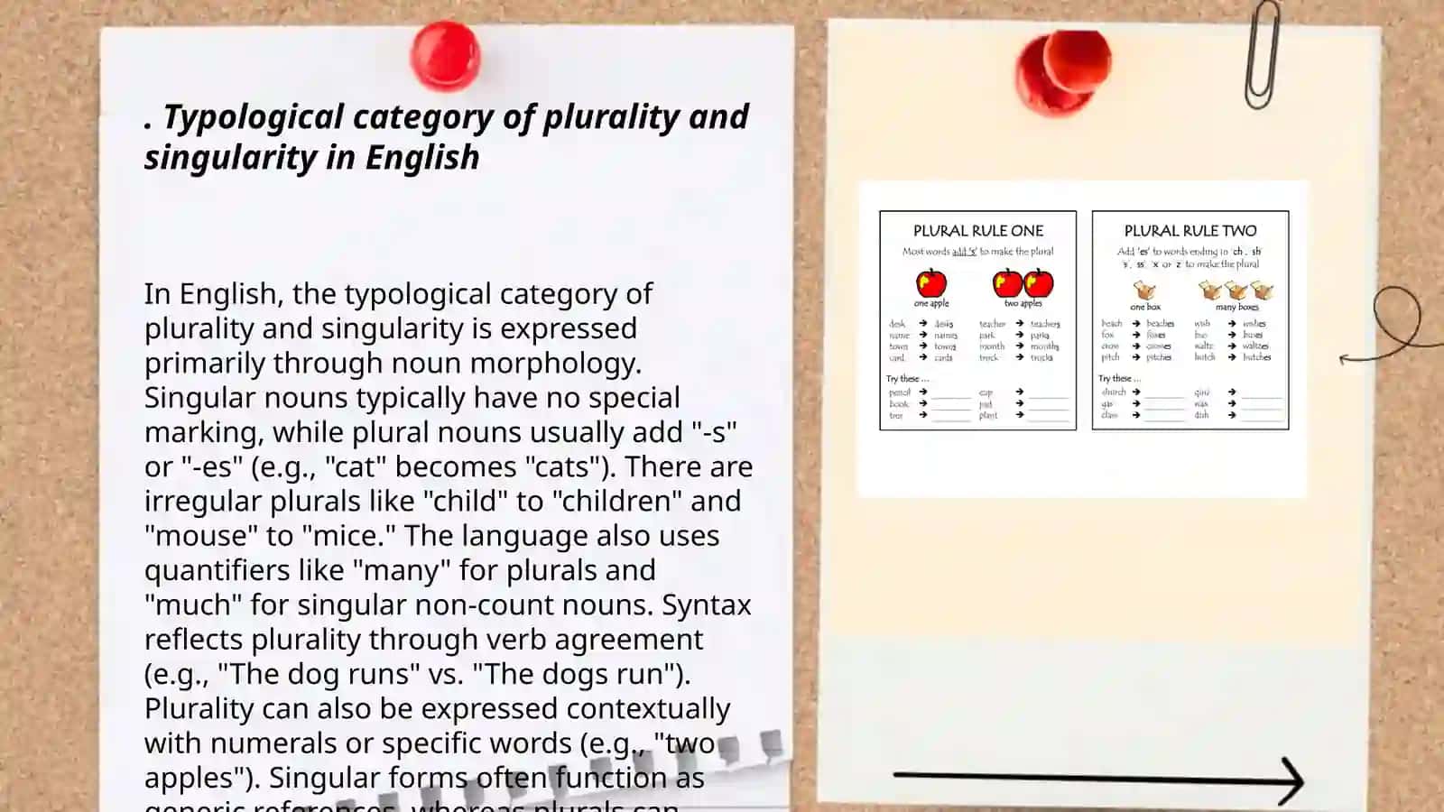 The Typological category of number (plurality and singularity) in English and Uzbek 3