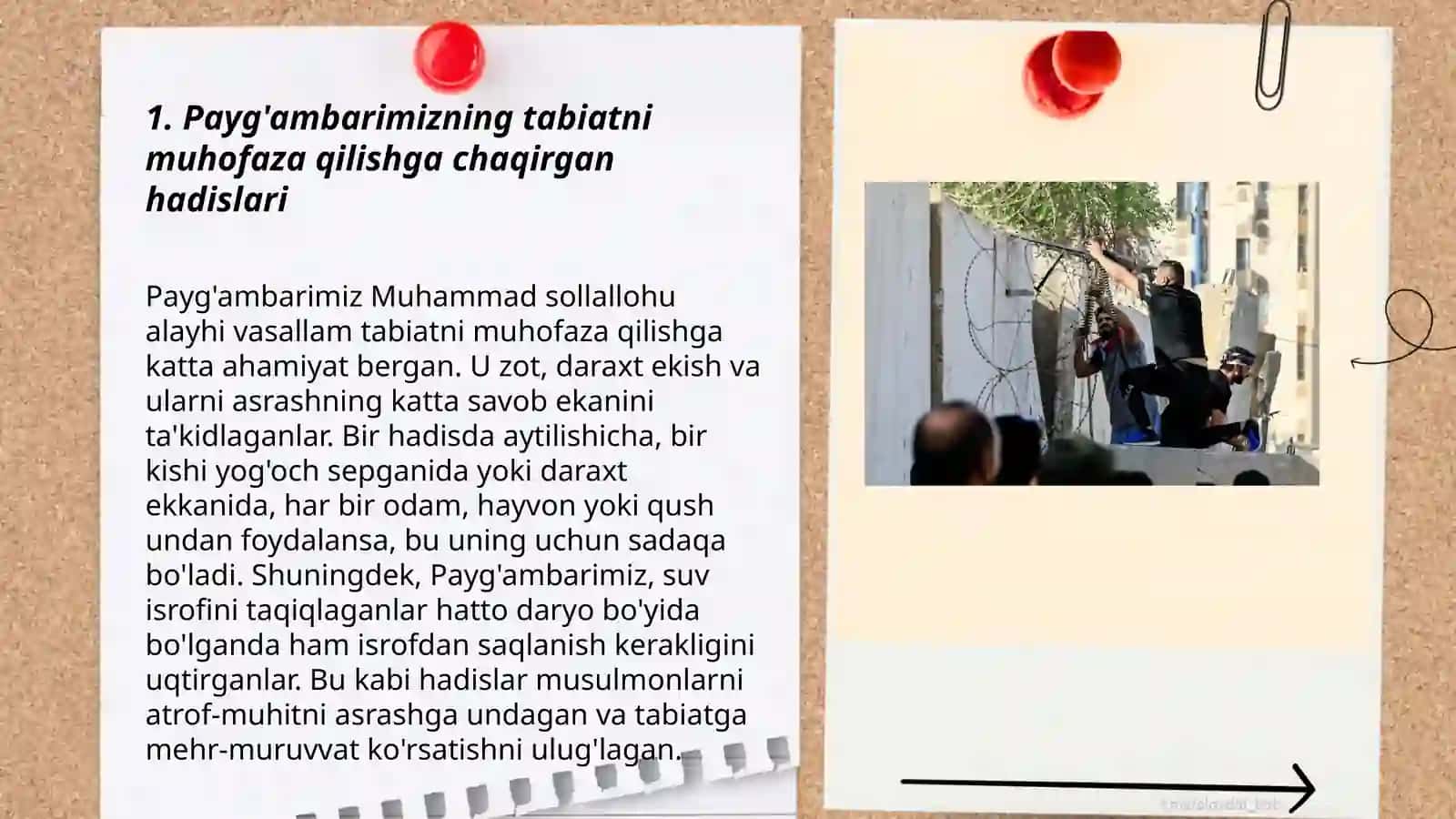 Hadislarda tabiatga oid bilimlar 3