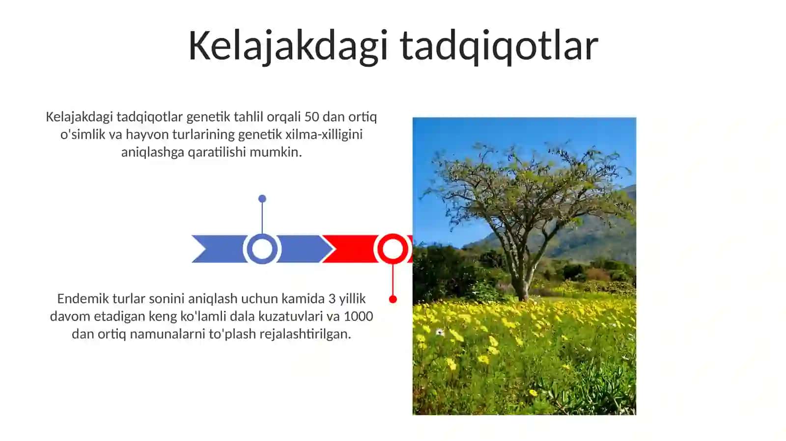 O’lka o’simlik va hayvonot dunyosini o’rganish 3