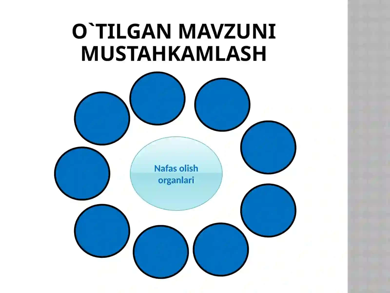 Ovqat hazm qilish va uning ahamiyati 3