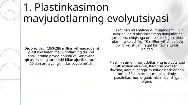 plastinkasimonlar 3
