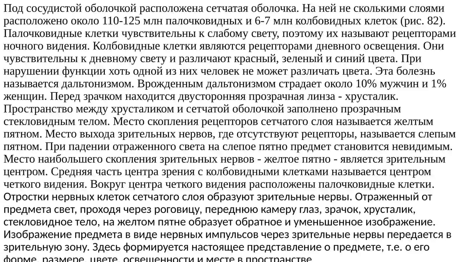 Глазное яблоко 3
