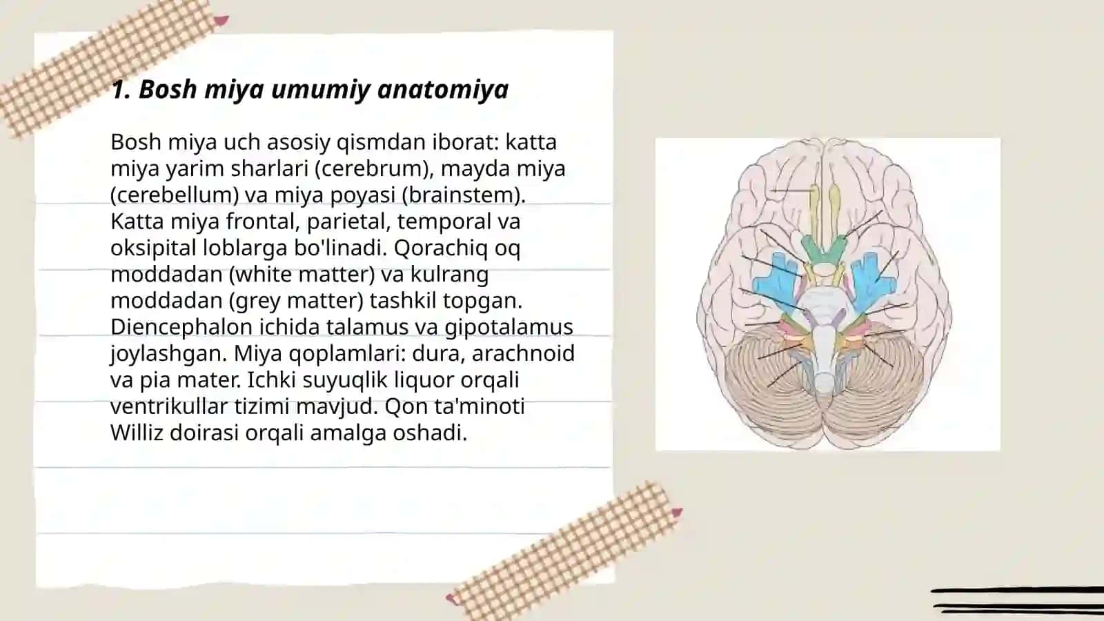 Bosh miya tuzulishi 3