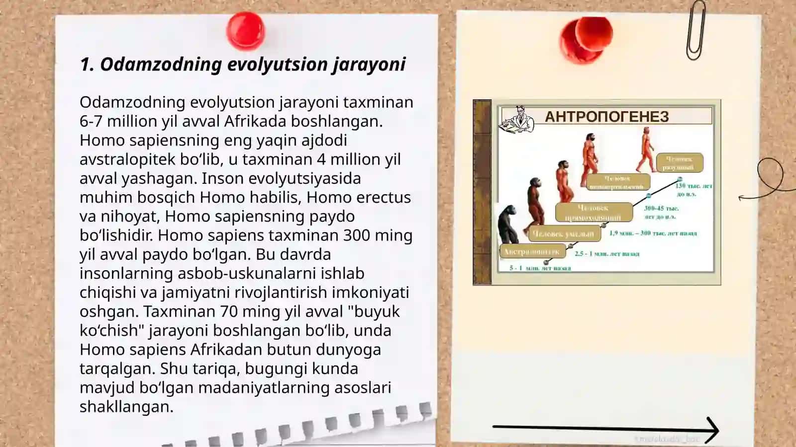 Antropogenez. Odamning boshlangʻich ajdodlari 3
