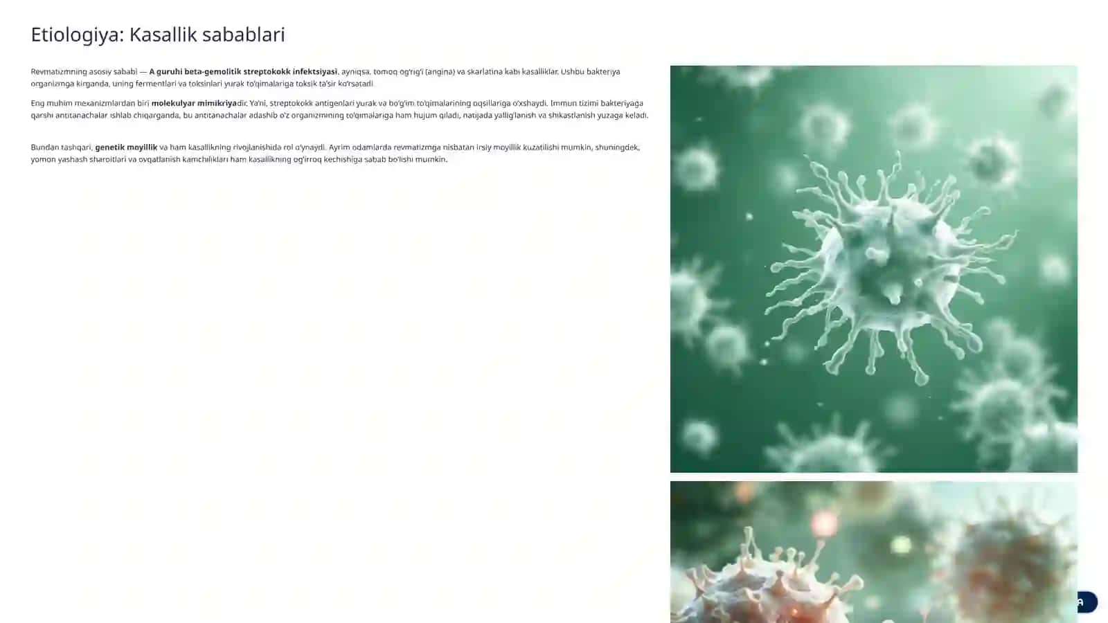 Revmatizm: Etiologiyasi va Klinik-Morfologik Shakllari 3