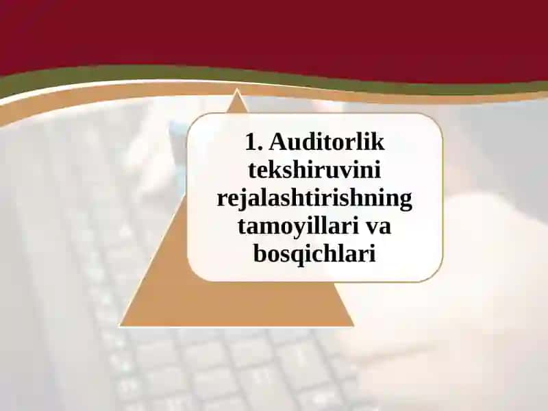 Auditorliktekshiruvinirejalashtirish 3