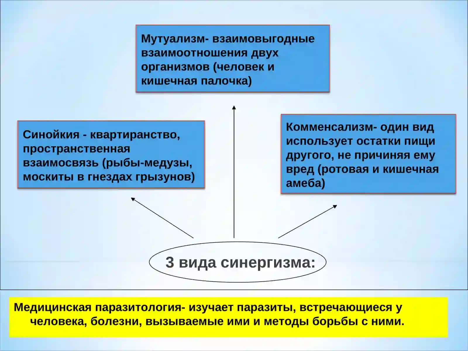 Паразитология 3