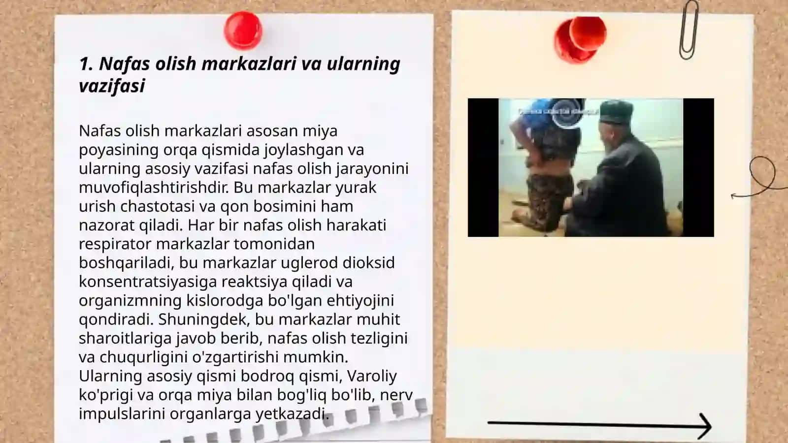 Nafasning gumoral boshqarilishi.Yangi tug'ilgan chaqaloqning birinchi nafas olish mexanizmi 3