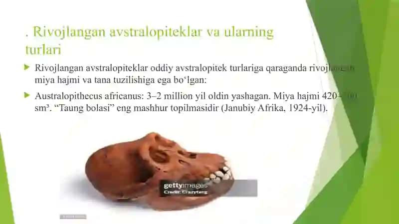 Inson evolutsiyasi 3