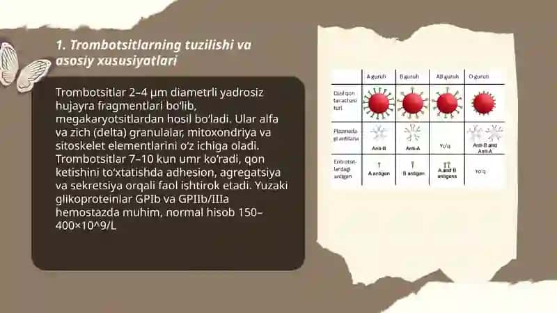 Trombotsitlar. Qon guruxlari. Rezus faktor 3
