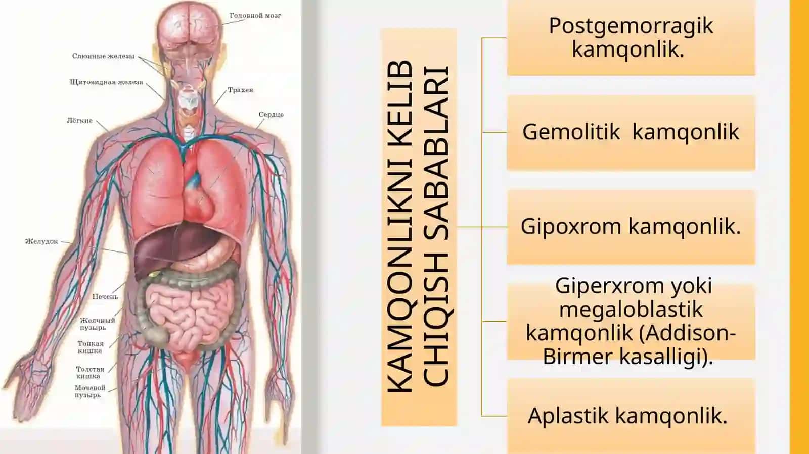 GЕMOPOEZGA TA'SIR ETUVCHI VOSITALAR 3