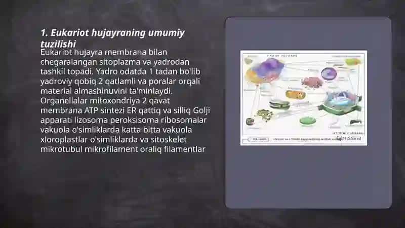 Eukariot hujayralar 3