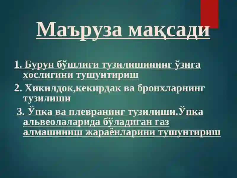 НАФАС АЪЗОЛАРИНИНГ ФУНКЦИОНАЛ АНАТОМИЯСИ 3