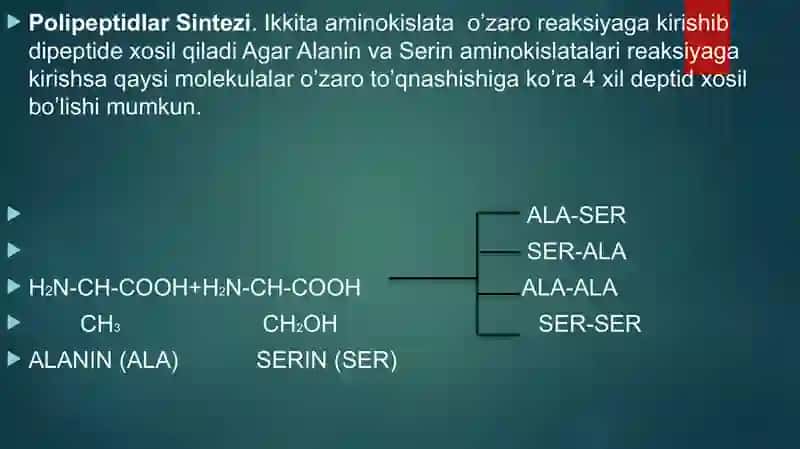 Peptidlar va Oqsillar 3