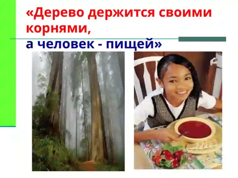 ГИГИЕНА ПИТАНИЯ 3