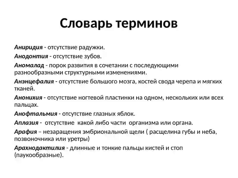 Словарь терминов 3